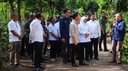 Gibran Rakabuming Raka Hadiri Panen Kopi di Bondowoso, Apresiasi Kopi Kelas Dunia Indonesia