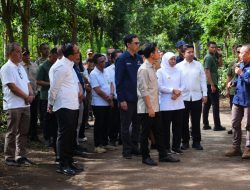 Gibran Rakabuming Raka Hadiri Panen Kopi di Bondowoso, Apresiasi Kopi Kelas Dunia Indonesia