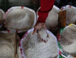 Kejaksaan Agung Selidiki Kasus Beras Oplosan, Potensi Kerugian Hingga Rp 100 Triliun